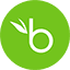 BambooHR icon