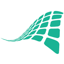 CheckFlow icon