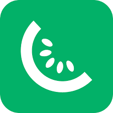 Kiwify icon