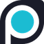 ParseHub Logo