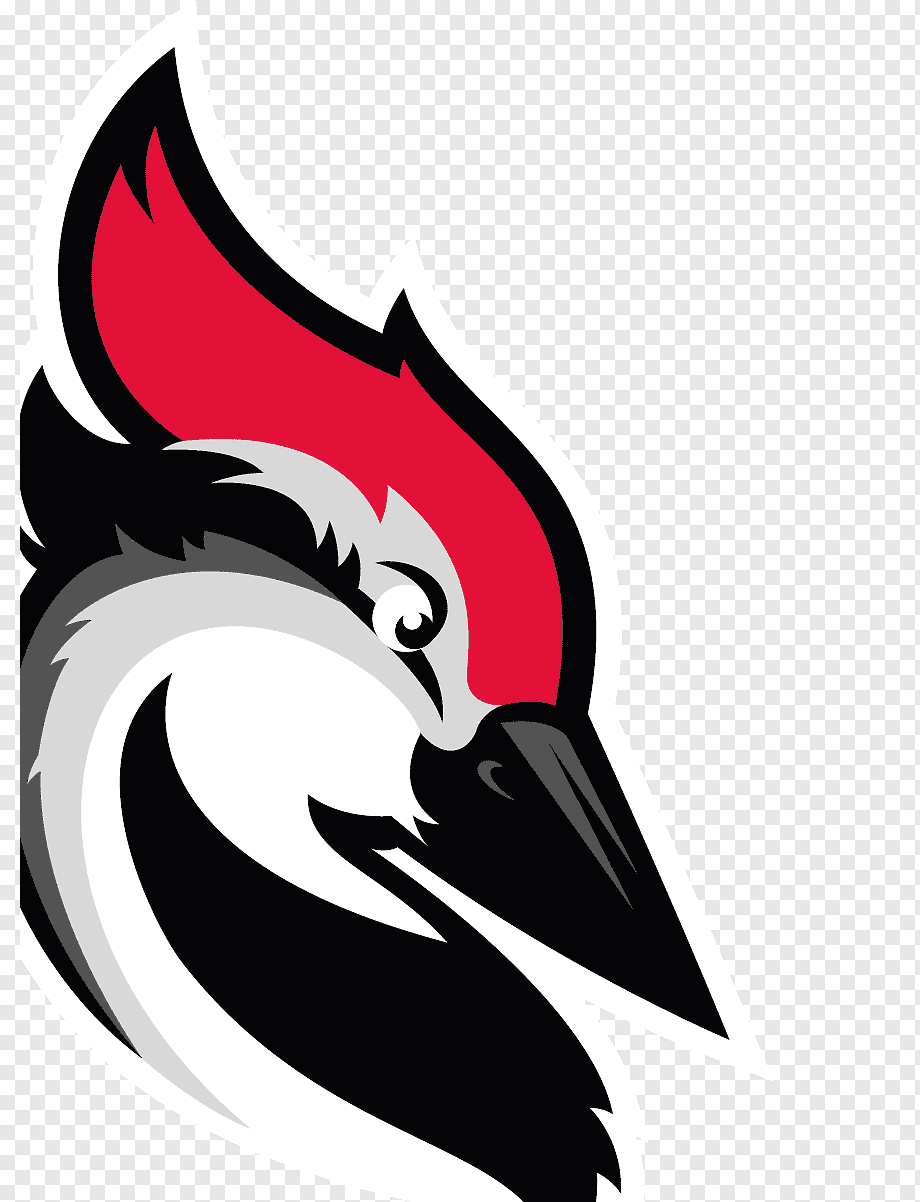 Woodpecker Cold Email icon