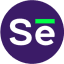 Selzy Logo