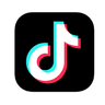 TikTok Lead Ads Logo