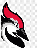 Woodpecker Cold Email